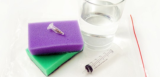 Проращивание семян методом Санчеса Проращивание семян марихуаны методом D. Sanches