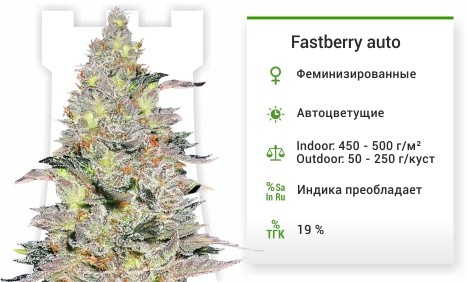 Сорт марихуаны Fastberry auto Fastberry auto fem (FastBuds)