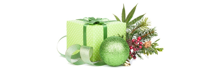 Новогодний бонус от Семенарнии