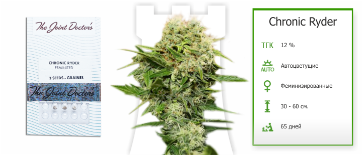 Семена конопли Chronic Ryder chronic_ryder от joint doctor