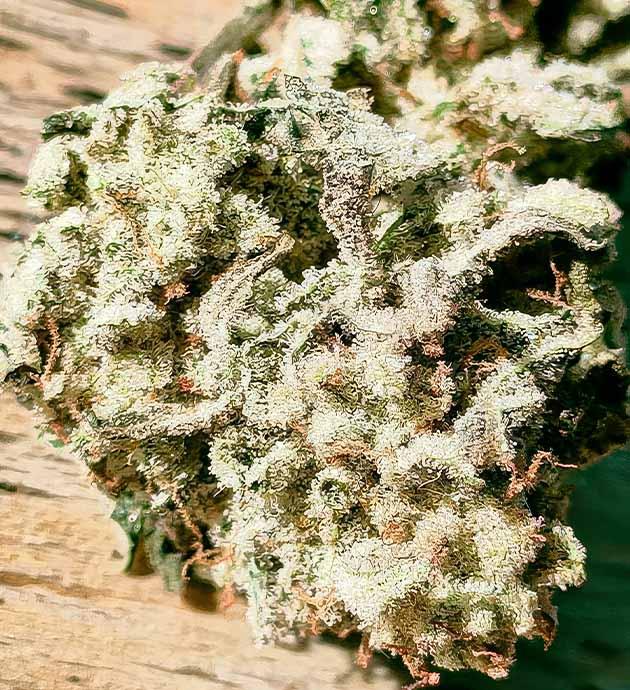 Сбор урожая и впечатления от грова