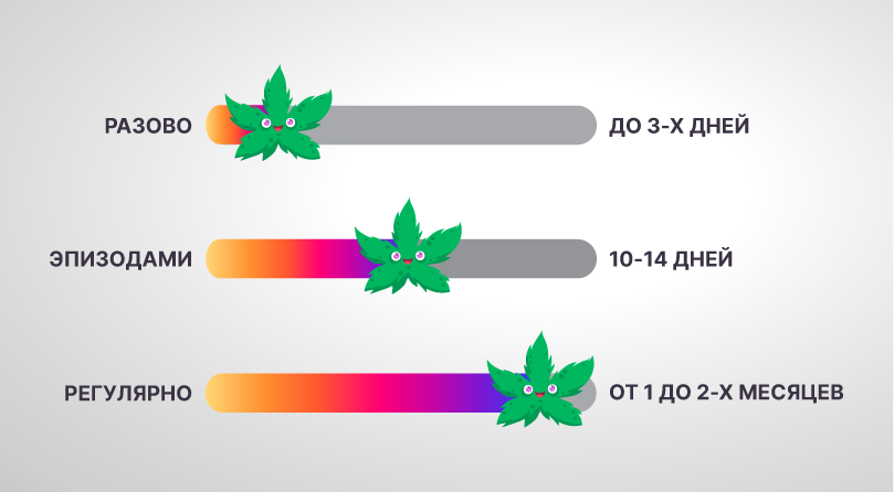 Частота использования марихуаны и время обнаружения конопли Использование конопли и время ее обнаружения в организме