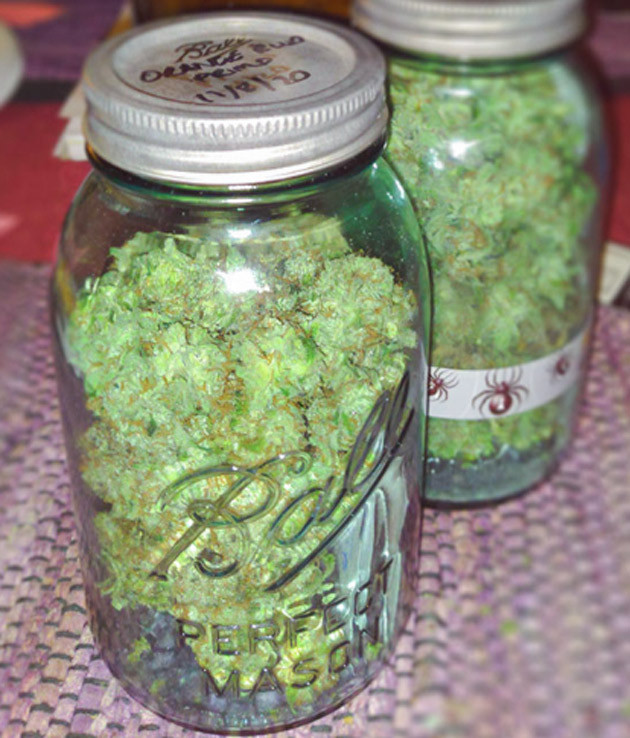 Сбор урожая