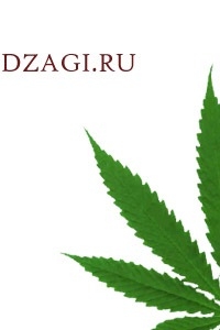 Форум Дзаги Форум Дзаги