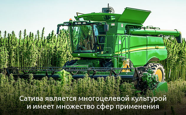 История происхождения Многоцелевая культура