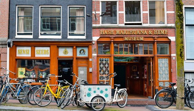 Музей Hash Marihuana & Hemp Museum в Амстердаме Hash Marihuana & Hemp Museum