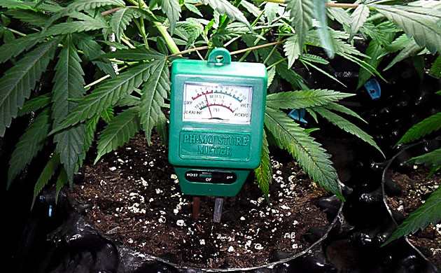 Грунт и удобрения для конопли pH метр