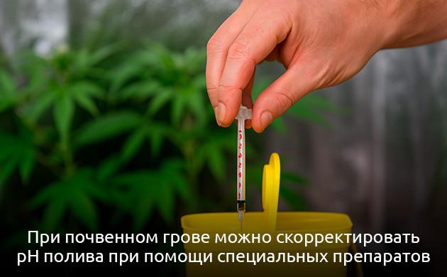 Как скорректировать pH марихуаны Корректировка кислотно-щелочного баланса