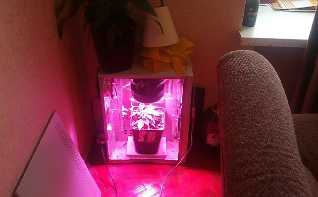 Скрытое выращивание конопли Стелс-бокс для выращивания