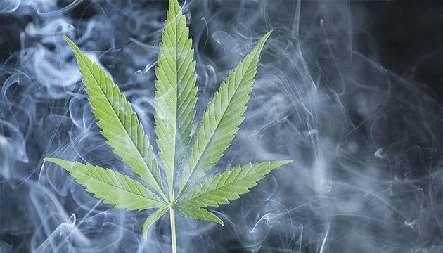 Теплый дым для согревания растений Устройте дымовую завесу