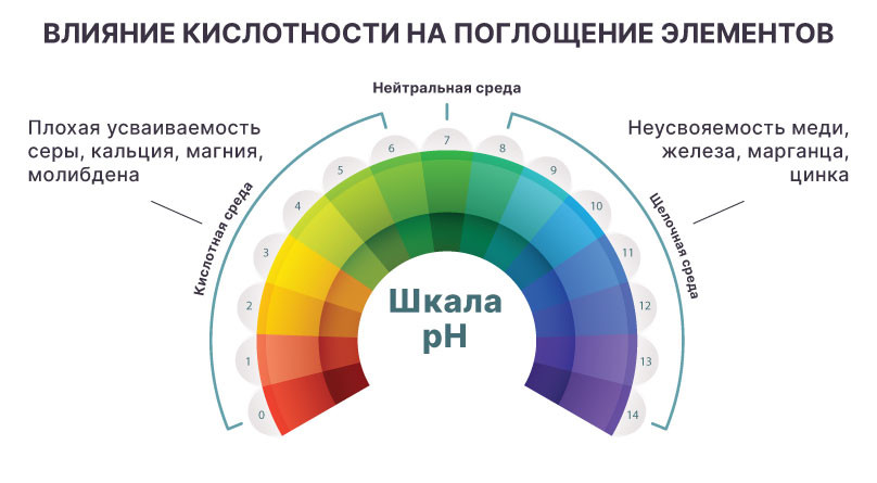 Влияние кислотности на поглощение элементов Шкала pH