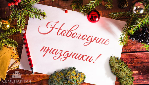 Новогодние праздники