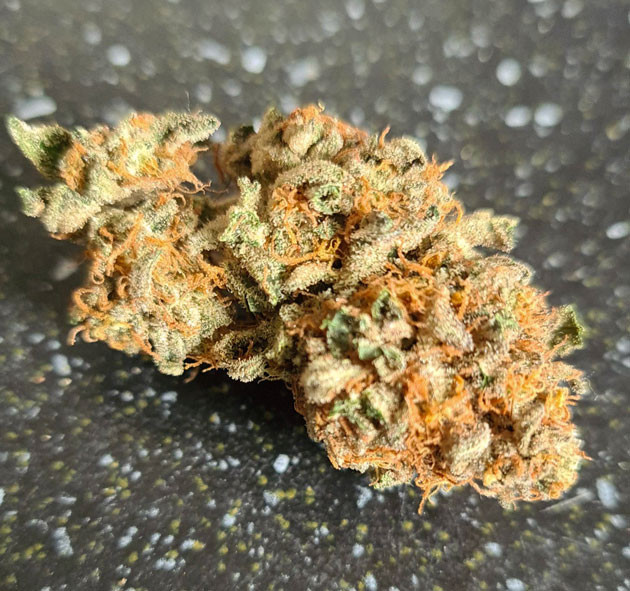 Вкус и эффект от Gorilla Cookies Auto Шишка Gorilla Cookies Auto