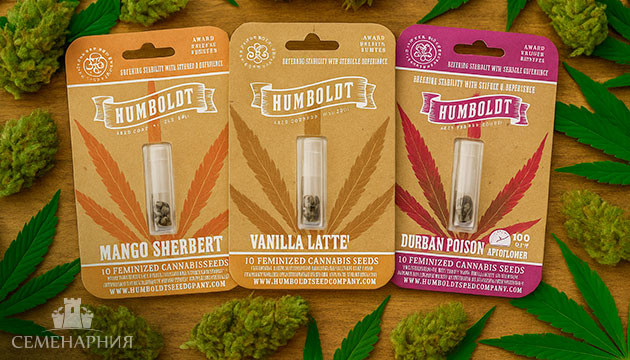 Новинки автоцветущих сортов сидбанка Humboldt Seed Company! Автоцветущие сорта от Humboldt Seed Company