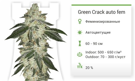 Green Crack auto fem от FastBuds