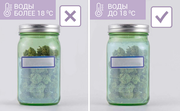 Водная пролечка конопли Пролечка водой