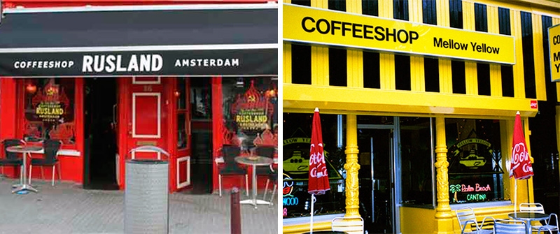 кофешопы Mellow Yellow и Rusland кофешопы Mellow Yellow и Rusland