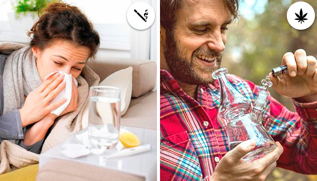 Иммунная система и влияние сигарет и марихуаны на нее Влияние сигарет и марихуаны на иммунную систему