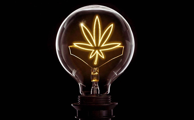 Выбор светового режима в зависимости от фотопериодичности конопли Световой режим для фото и автоцветущих сортов