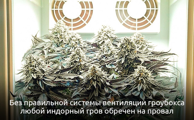 Система вентиляции в гроубоксе Циркуляция воздуха в гроубоксе