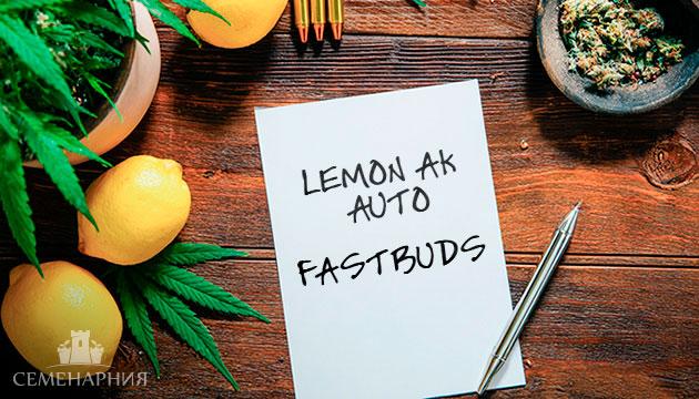 Гроурепорт сорта конопли Lemon AK Auto от FastBuds Выращивание сорта марихуаны Lemon AK Auto от FastBuds