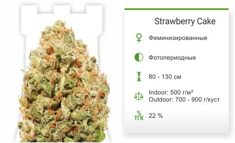 Сорт марихуаны Strawberry Cake Strawberry Cake от Heavyweight Seeds