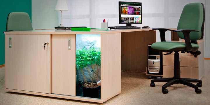 Микрогровинг