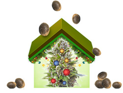 Сенсимилья Сенсимилья