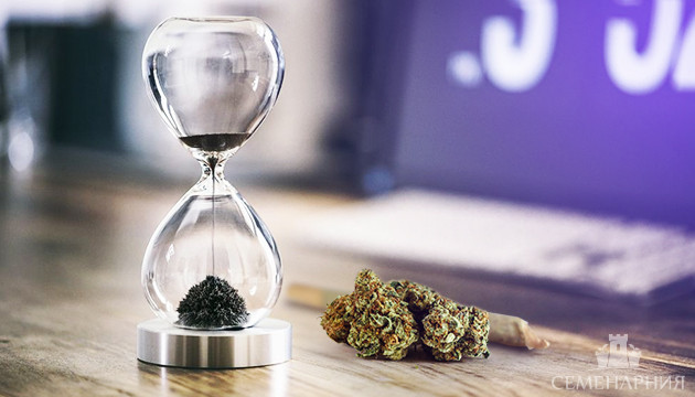 Длительное употребление конопли Использование каннабиса долгое время