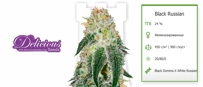 Black Russian Black Russian