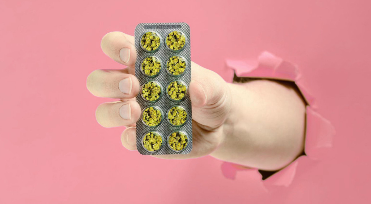 Новости из Панамы Марихуана в Панаме