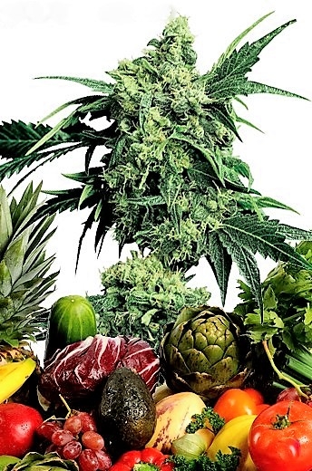 Конопля с фруктовым запахом конопля и фрукты
