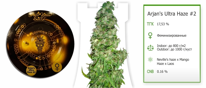 Arjans Ultra Haze 2 Arjan's Ultra Haze #2