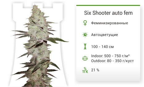 Six Shooter auto fem от FastBuds