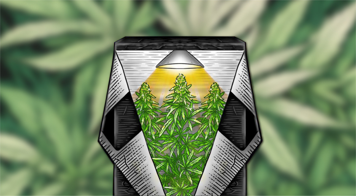 Скрытое выращивание конопли