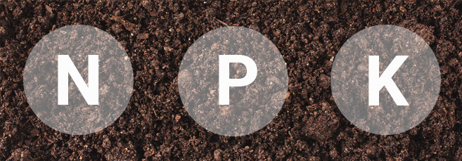 Питательные вещества для почвы Питательные вещества для почвы конопли