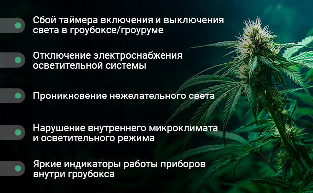 Какие нарушения на цветении могут вернуть растения обратно в вегетацию Причины самопроизвольной ревегетации
