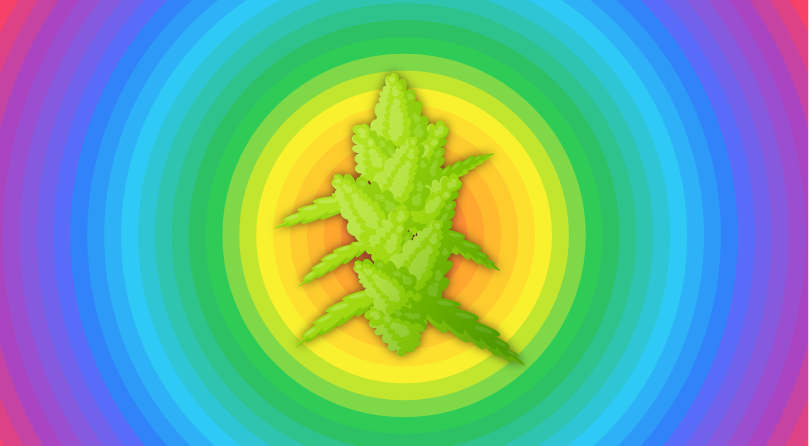 Влияние спектров на рост конопли Спектры излучения