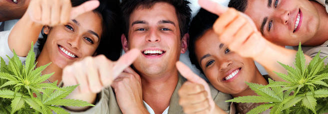 Суперкроппинг каннабиса Как выполнить суперкроппинг марихуаны