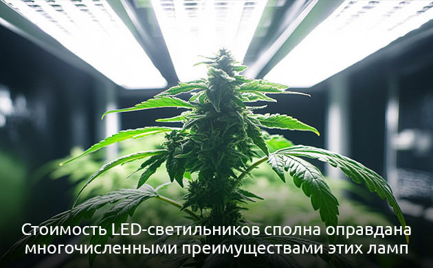 Освещение в индоре LED светильник