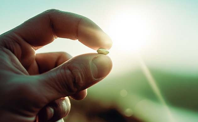 Использование прокси-сервиса или VPN Как анонимно приобрести семена конопли