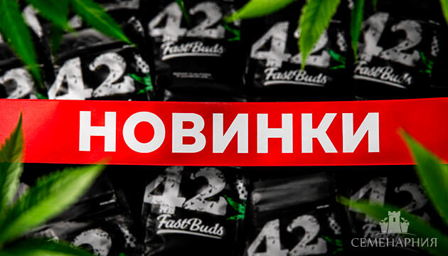 Новинки от FastBuds