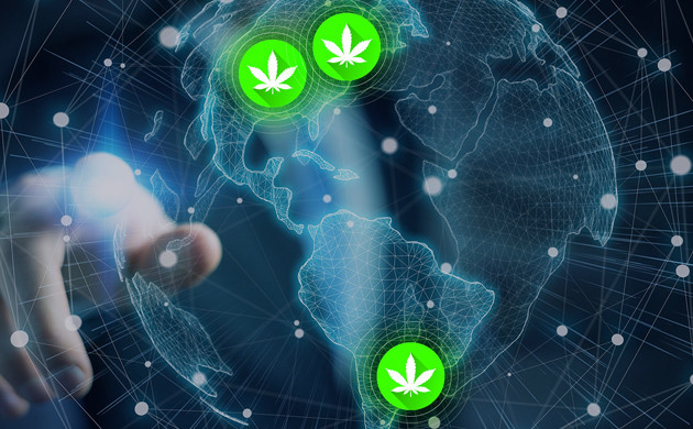 Легализация конопли в мире