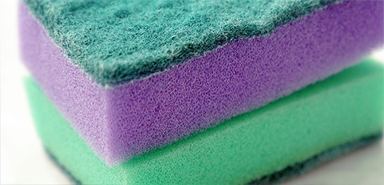 Расположение семян Семена конопли между губками