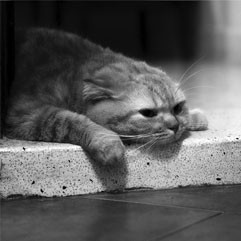 КБХ против депрессии депрессия