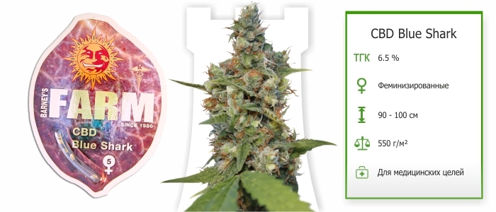 CBD Blue Shark CBD Blue Shark