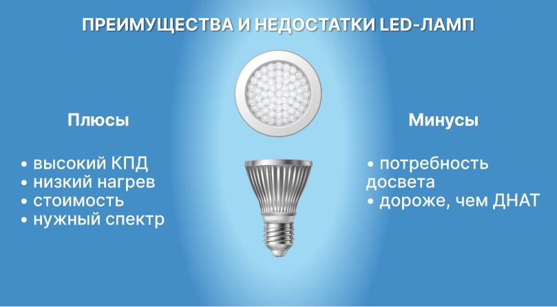 LED лампы Плюсы и минусы LED ламп