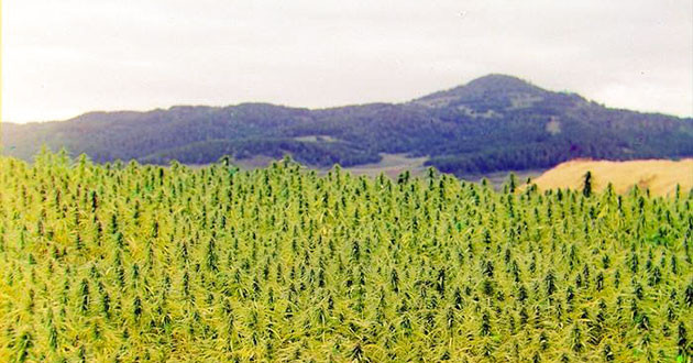 Расположение Чуйской долины Популярность Чуйской долины