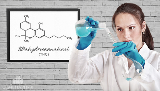 Подробнее о тетрагидроканнабиноле Каннабиноид ТГК