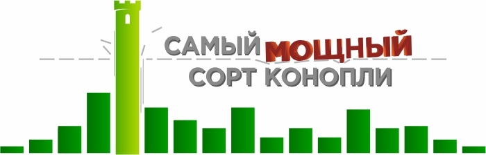 Самый мощный сорт конопли САМЫЙ МОЩНЫЙ СОРТ КОНОПЛИ